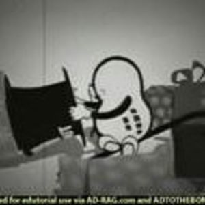 Meet your Posher, Kristy